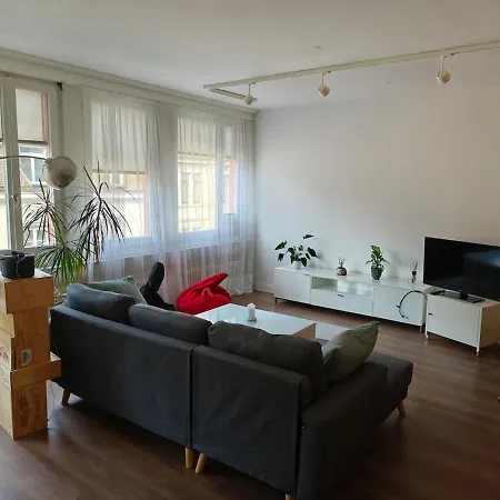 Loft In Downtown Apartamento Zúrich